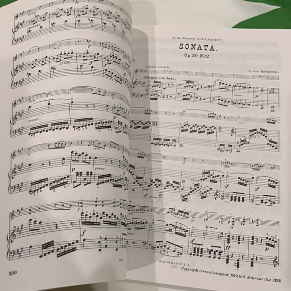 Beethoven Sonatas for violin and piano 🎻 🎹 - Picture 2 of 7